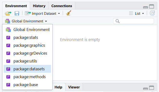 RStudio Environment Pic